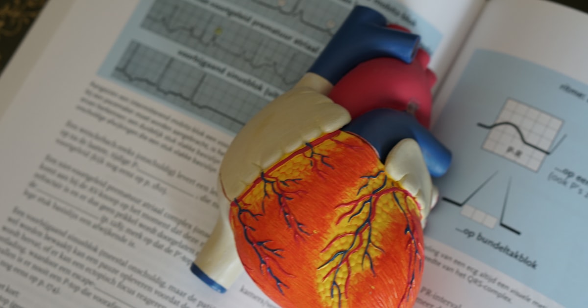 Understanding Angiography